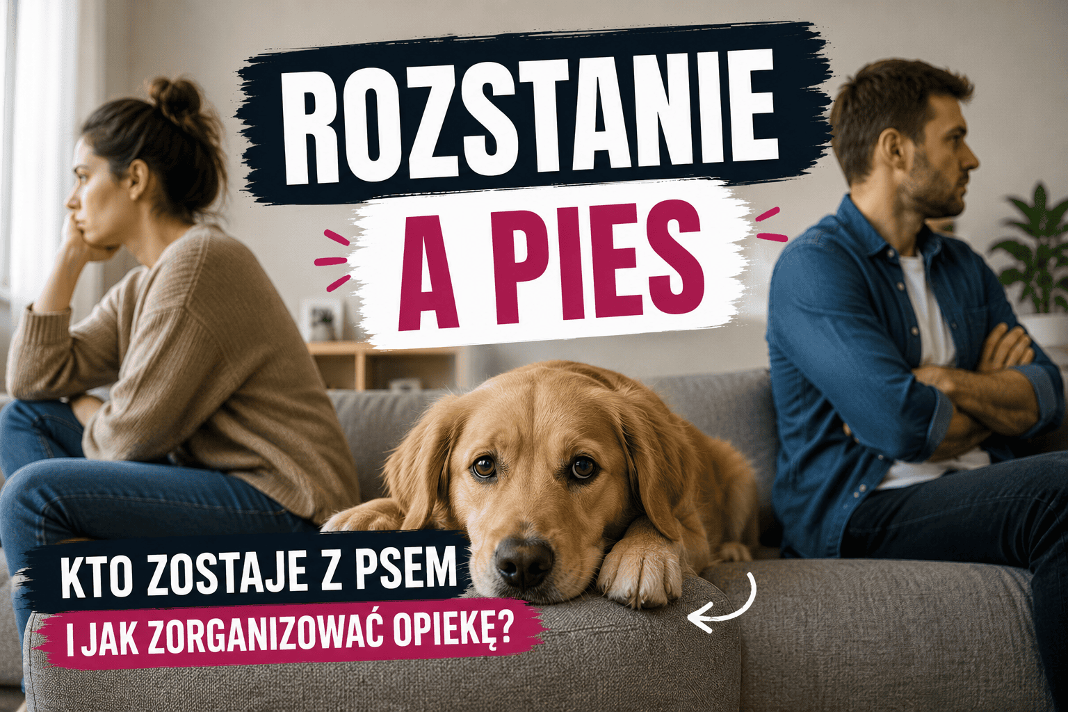 Rozstanie a pies - kto zostaje z psem i jak zorganizować opiekę?